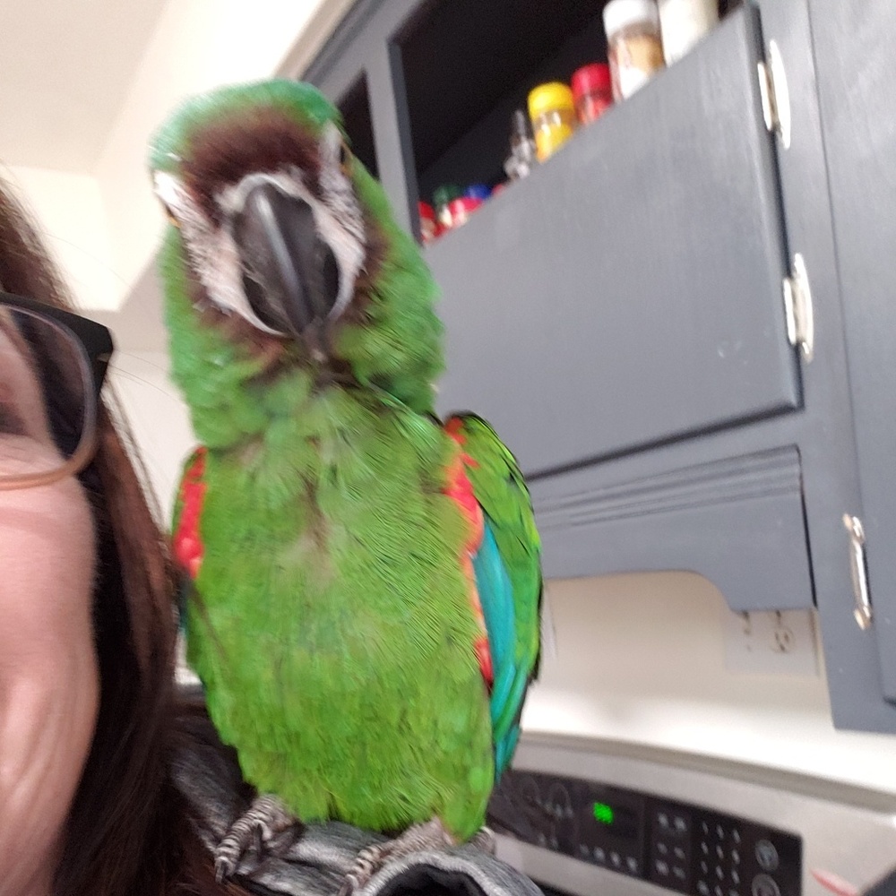 Meet your Posher, Tonya